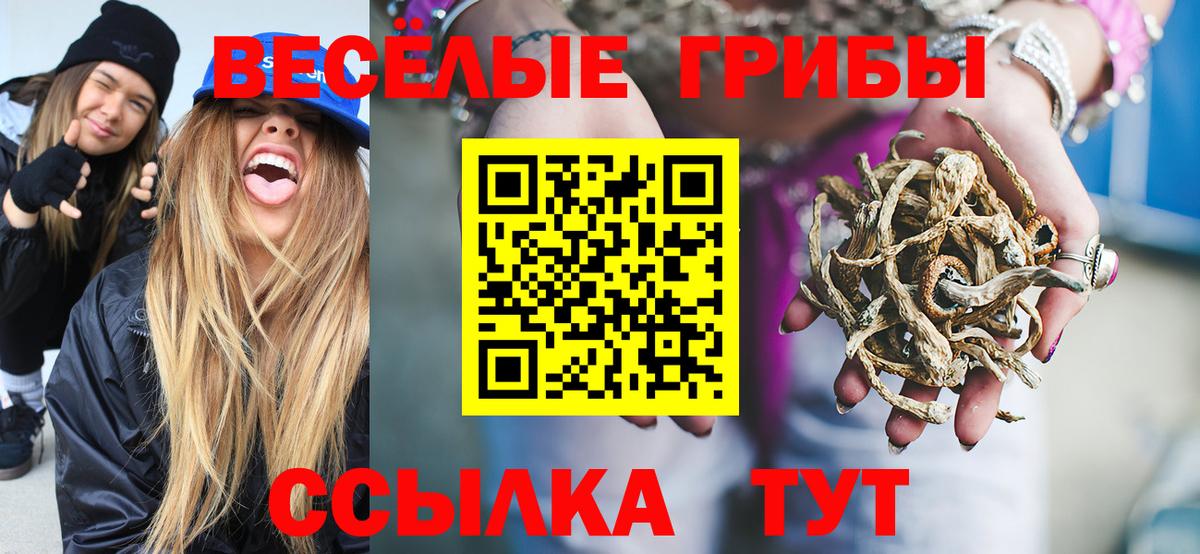 Салехард  Псилоцибиновые грибы Psilocybine cubensis  Вход с VPN 