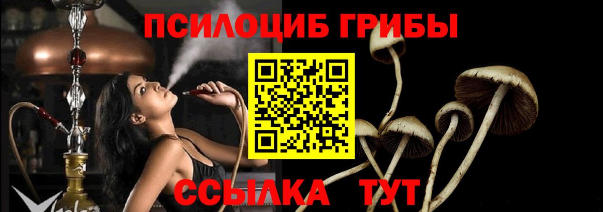 Галлюциногенные грибы мухоморы Салехард
